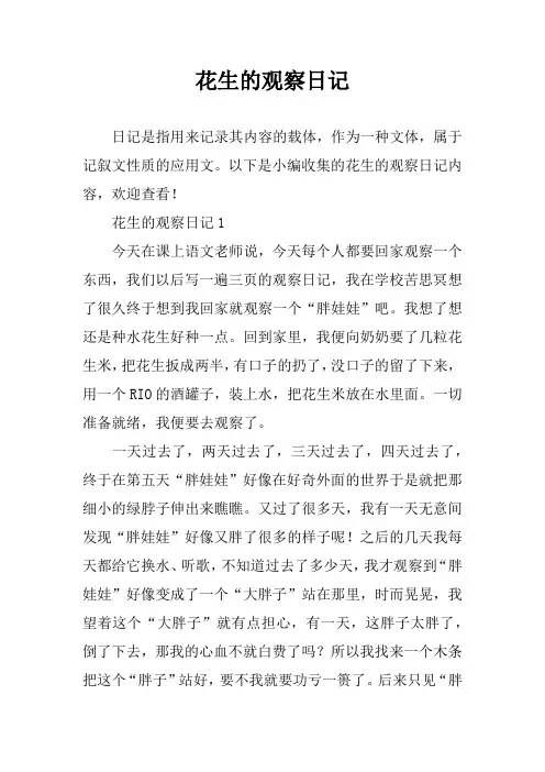 花生的观察日记