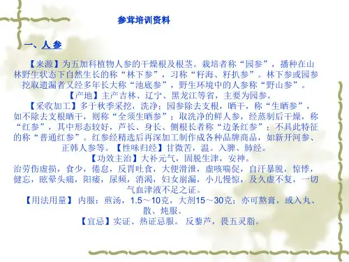 参茸培训