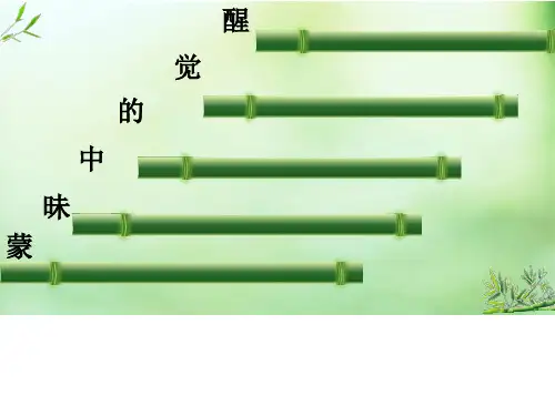 蒙昧中的觉醒 PPT课件 6(说课) 人民版