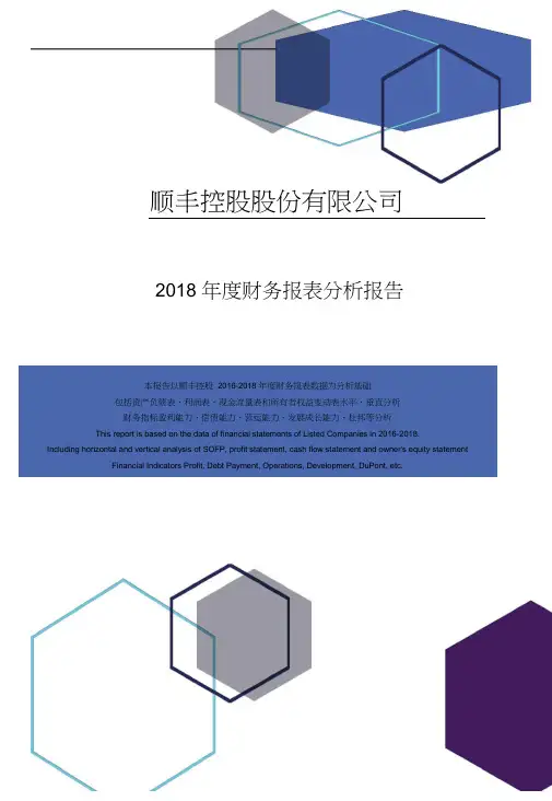 顺丰控股股份有限公司2018年度财务报表分析报告