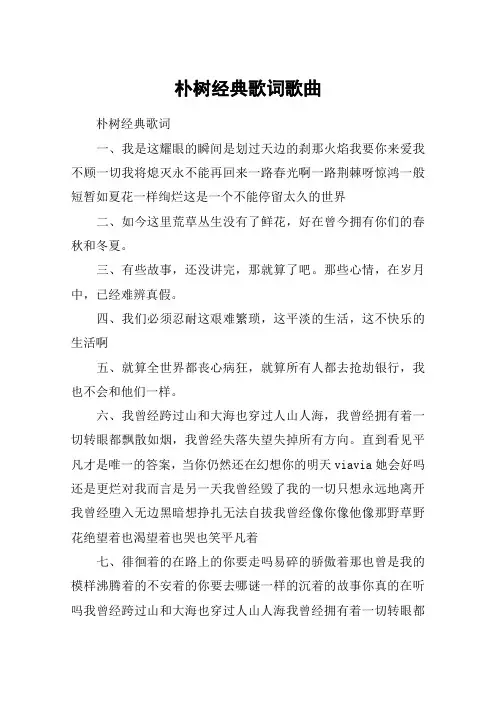 朴树经典歌词歌曲