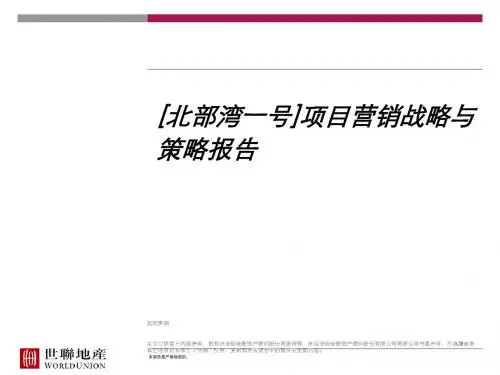 房地产开发有限公司项目营销战略与策略报告(PPT 32张)