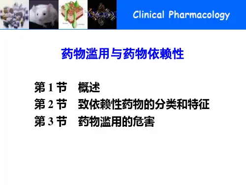 药物滥用与药物依赖性概要PPT课件
