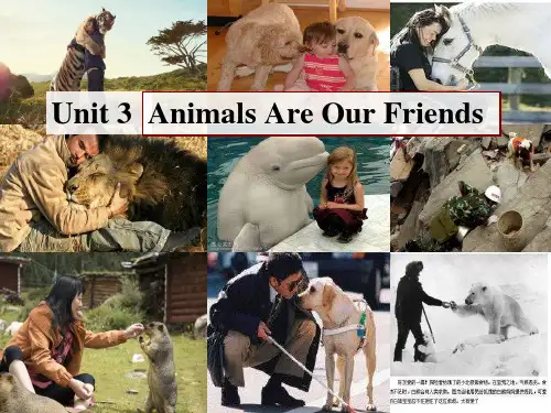 冀教版八年级下册Unit 3 Animals Are Our Friends Lesson 14 A