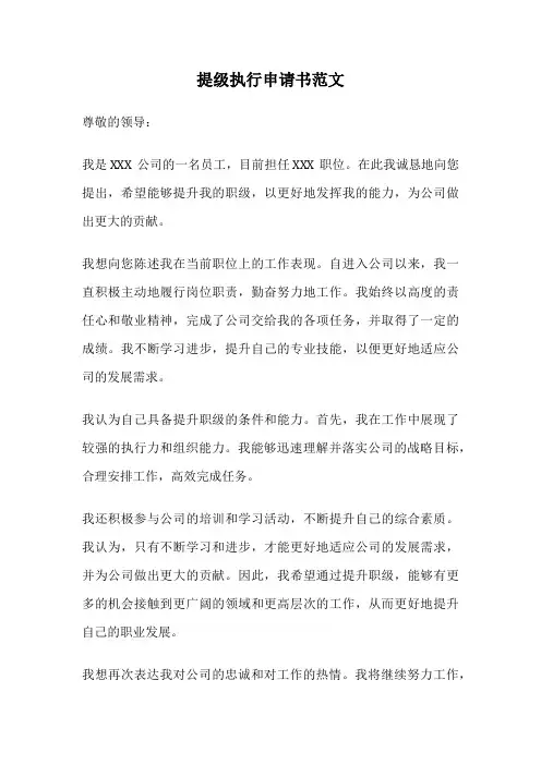 提级执行申请书范文