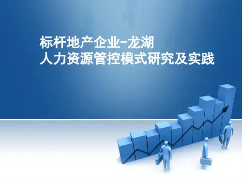 某地产人力资源管控模式实践