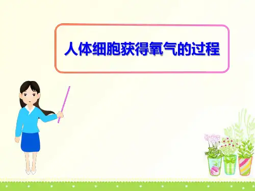 《人体细胞获得氧气的过程》PPT