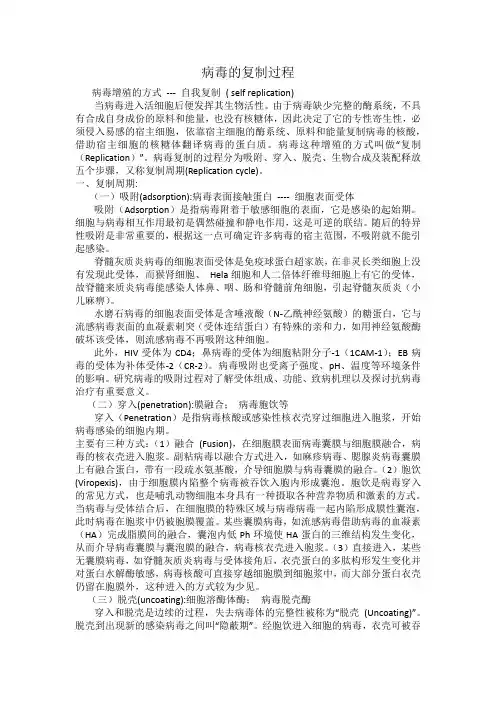 病毒的复制过程