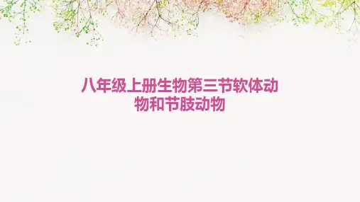 八年级上册生物第三节软体动物和节肢动物