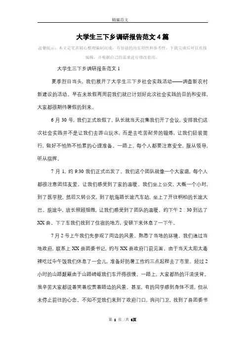 [最新]大学生三下乡调研报告范文4篇范本
