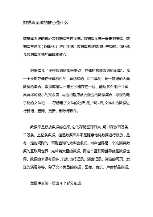 数据库系统的核心是什么