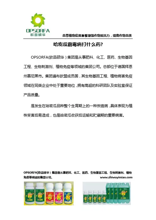 海南哈密瓜霜霉病打什么药？
