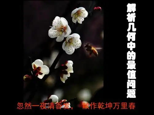 解析几何中的最值问题 苏教版精品课件