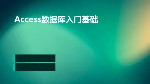 access数据库入门基础