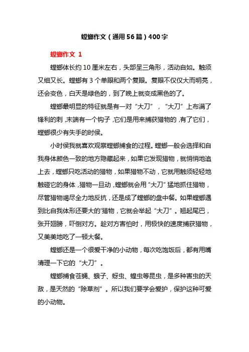 螳螂作文(通用56篇)400字