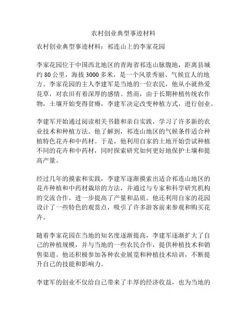 农村创业典型事迹材料