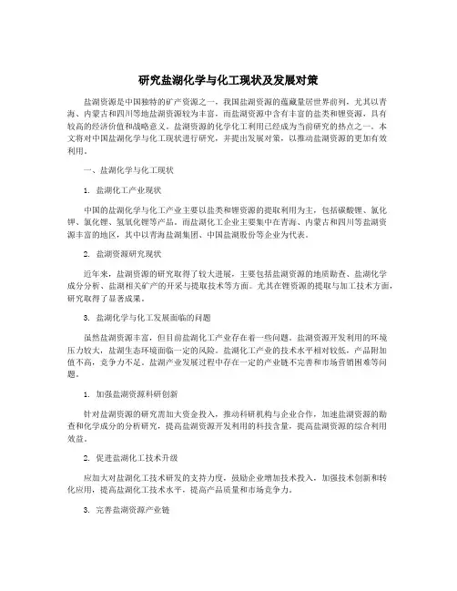 研究盐湖化学与化工现状及发展对策