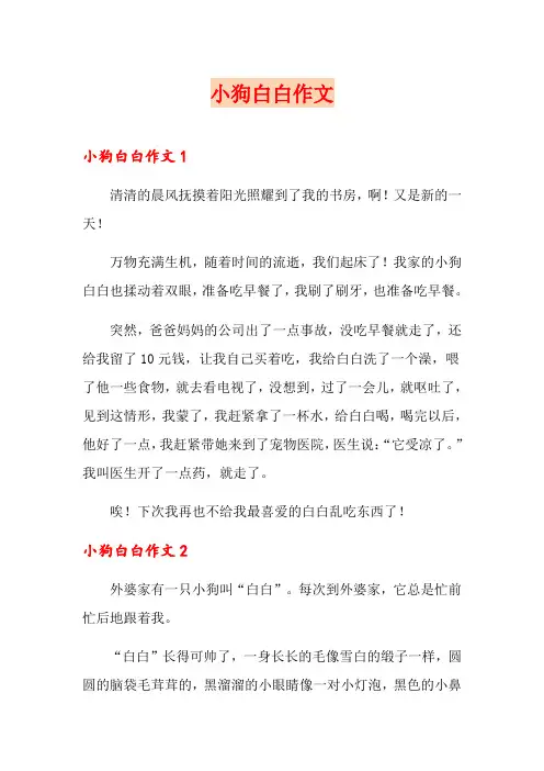 小狗白白作文(实用)