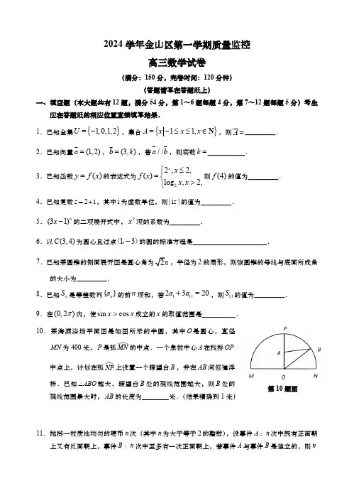 上海市金山区2024-2025学年高三上学期12月质量监控(一模)数学试卷(含答案)