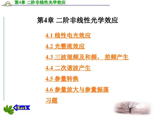 第4章二阶非线性光学效应