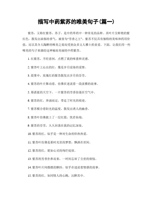 描写中药紫苏的唯美句子(精选两篇)