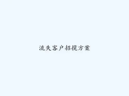 流失客户招揽方案-PPT