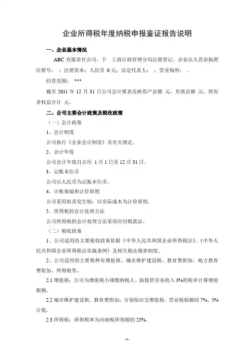 所得税报告模板