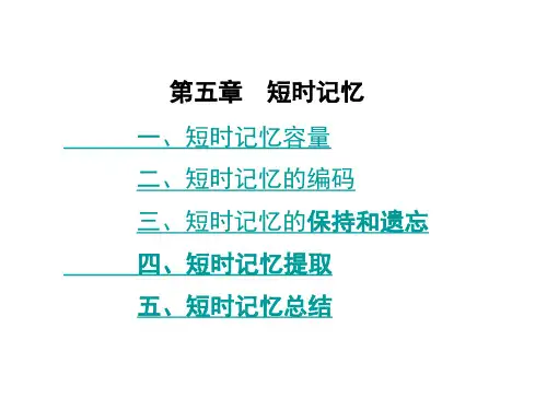 第五章  短时记忆