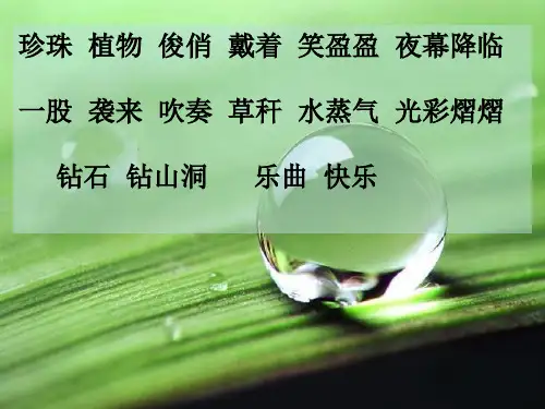小露珠第二课时ppt