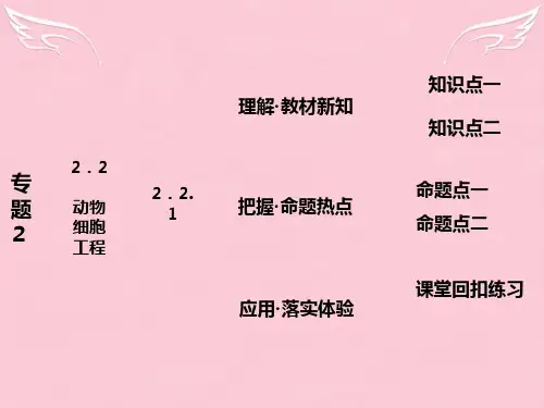 2016年高中生物 第1部分 专题2 细胞工程 2.2 动物细胞工程 2.2.1 动物细胞培养和核移植技术课件