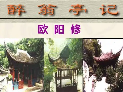 28、《醉翁亭记》公开课
