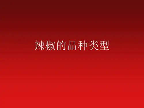 辣椒的品种类型