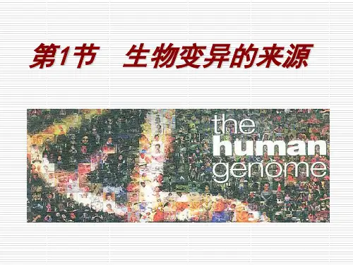 生物变异的来源ppt课件