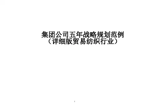集团公司五年发展规划范例