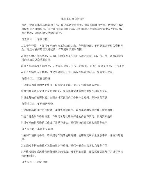 单位车自查自纠报告
