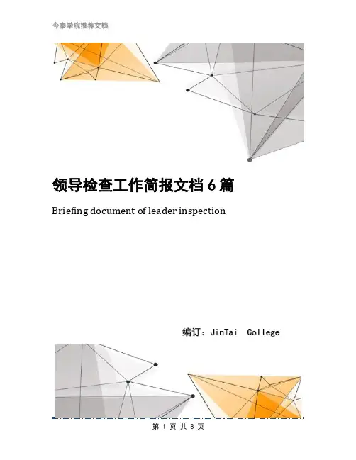 领导检查工作简报文档6篇