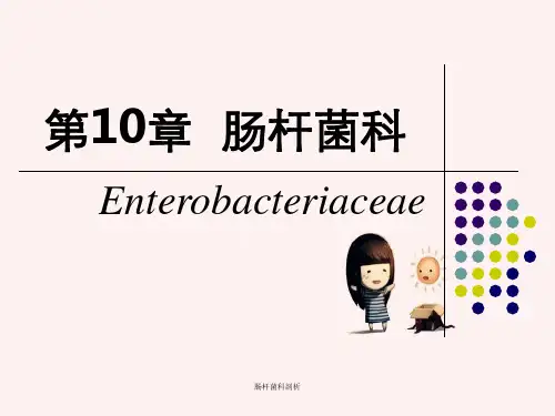 肠杆菌科剖析