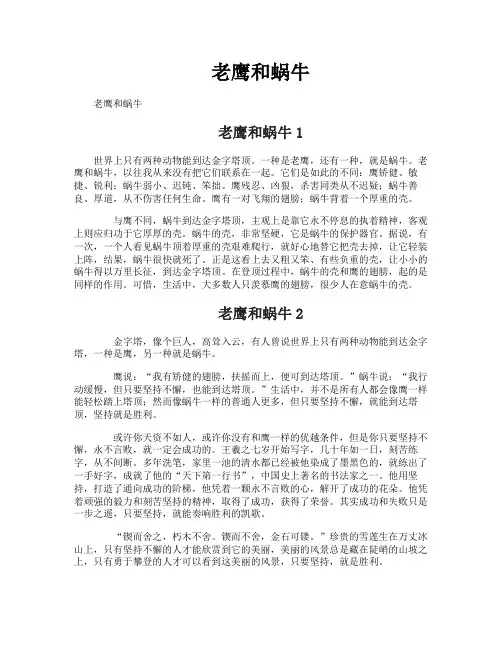 老鹰和蜗牛