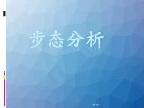 步态分析  ppt课件