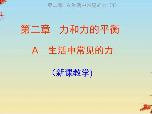上海地区上教版高一物理必修1课件：2-a《生活中常见的力》ppt 1