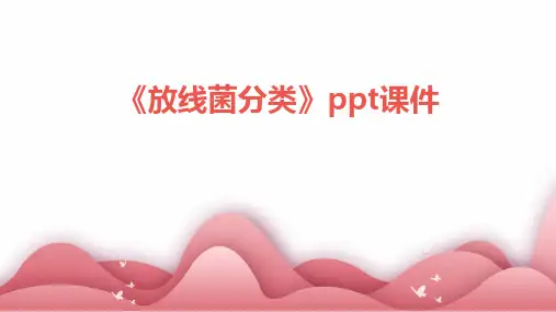 《放线菌分类》课件