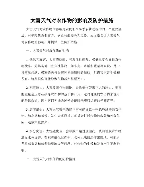 大雪天气对农作物的影响及防护措施