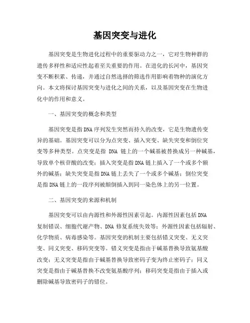 基因突变与进化