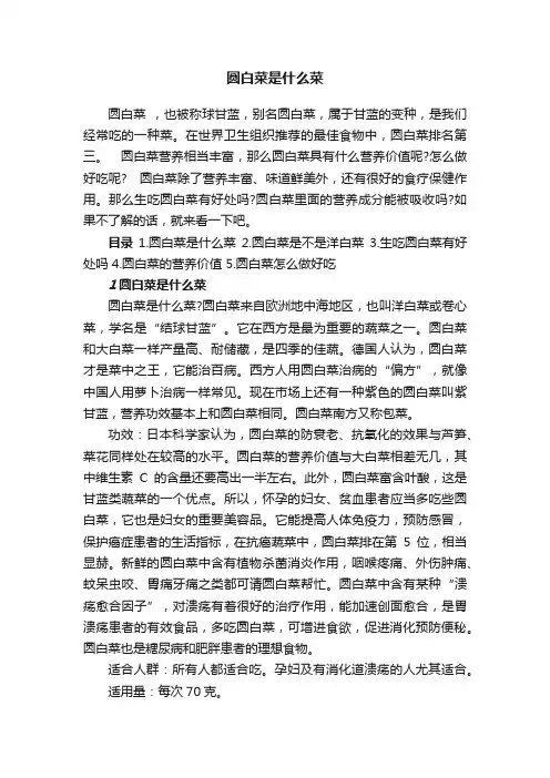 圆白菜是什么菜