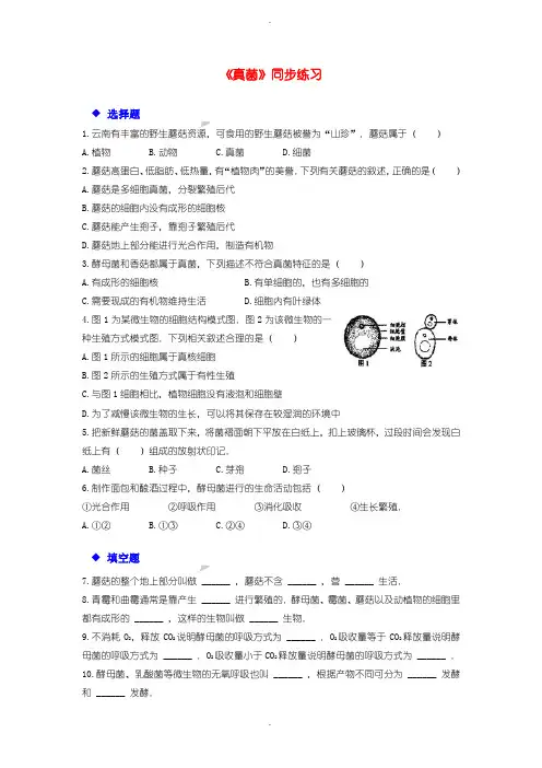 人教版八年级生物上册5.4.3真菌练习含答案