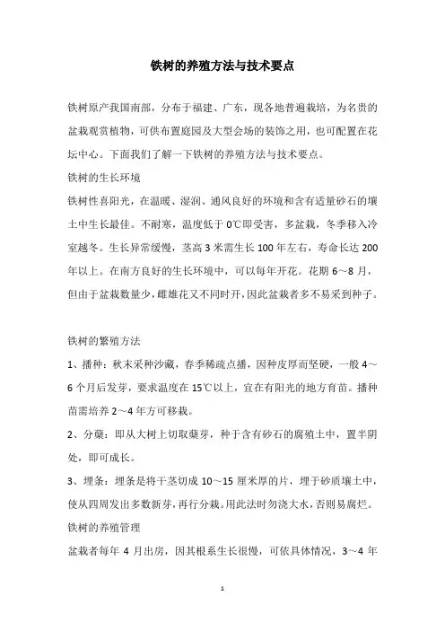 铁树的养殖方法与技术要点