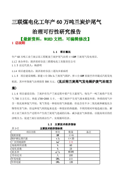 三联煤电化工产万吨兰炭炉尾气治理市场分析可行性研究报告