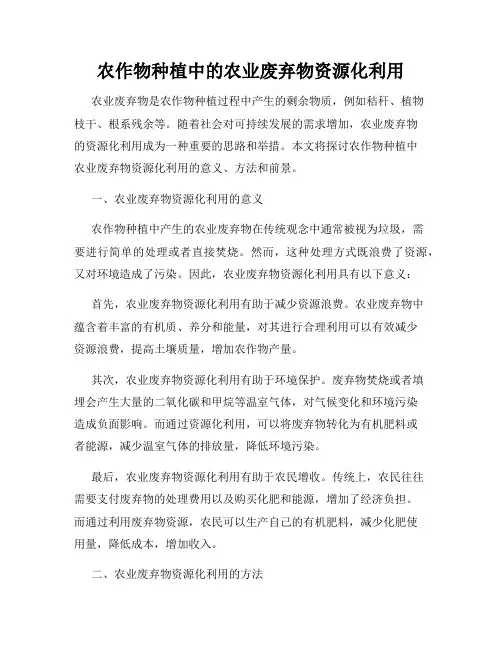 农作物种植中的农业废弃物资源化利用