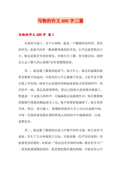 写物的作文600字三篇