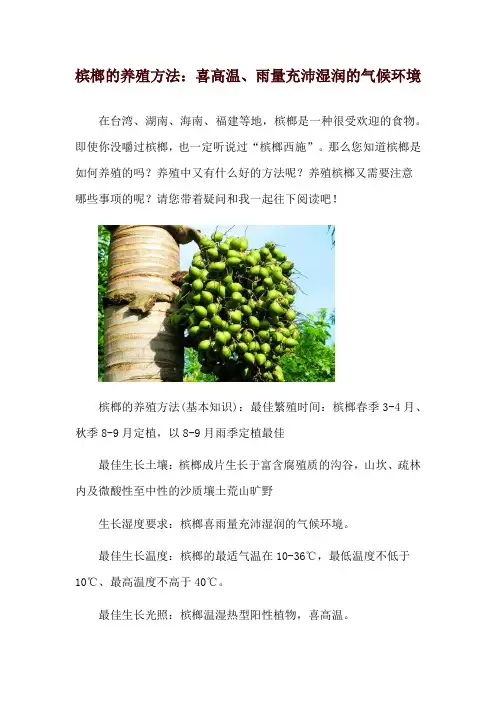 槟榔的养殖方法：喜高温、雨量充沛湿润的气候环境